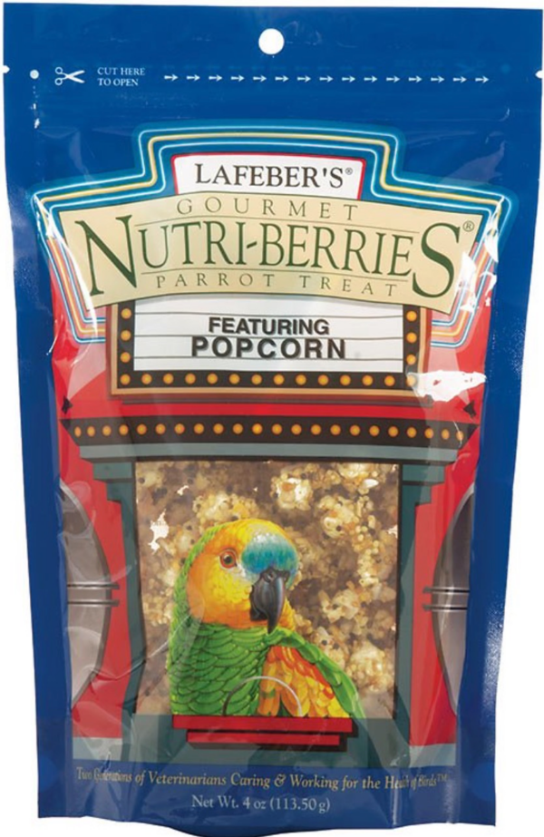 Nutri-Berries: Parrot with Popcorn (4 oz)